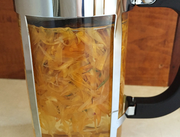 Calendula Infusing