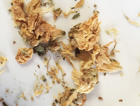 Dried Chrysanthemum Flowers