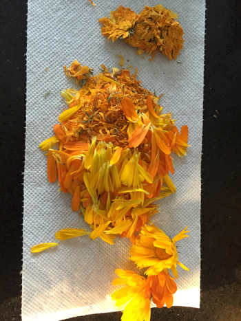dried-calendula-petals