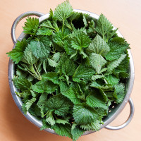 Nettles