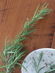 rosemary sprig