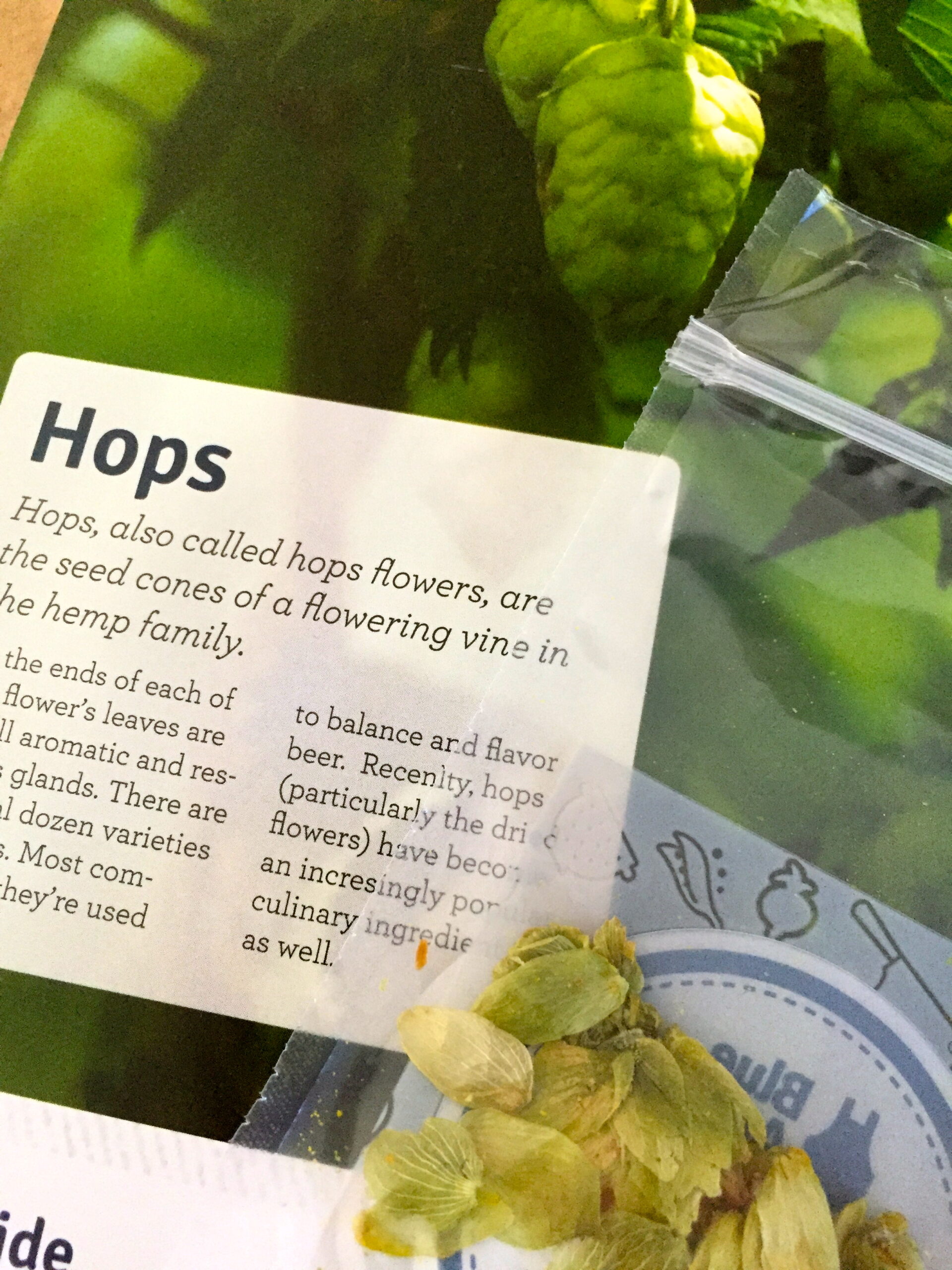 hops from blue apron