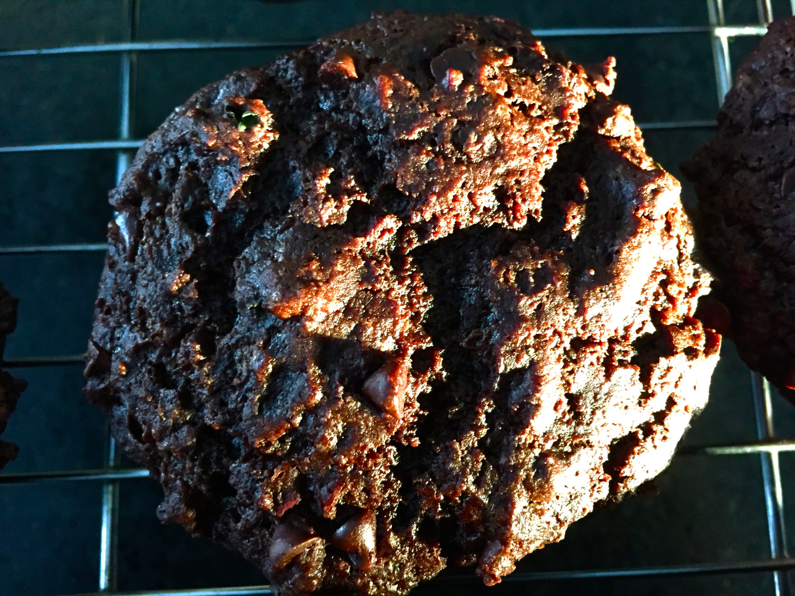 chocolate muffin