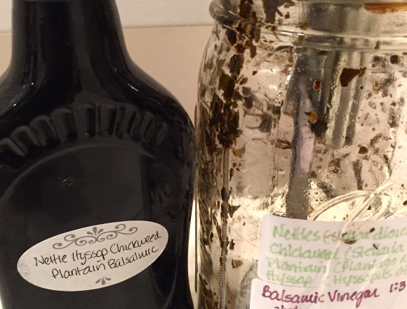 nettle infused balsamic vinegar