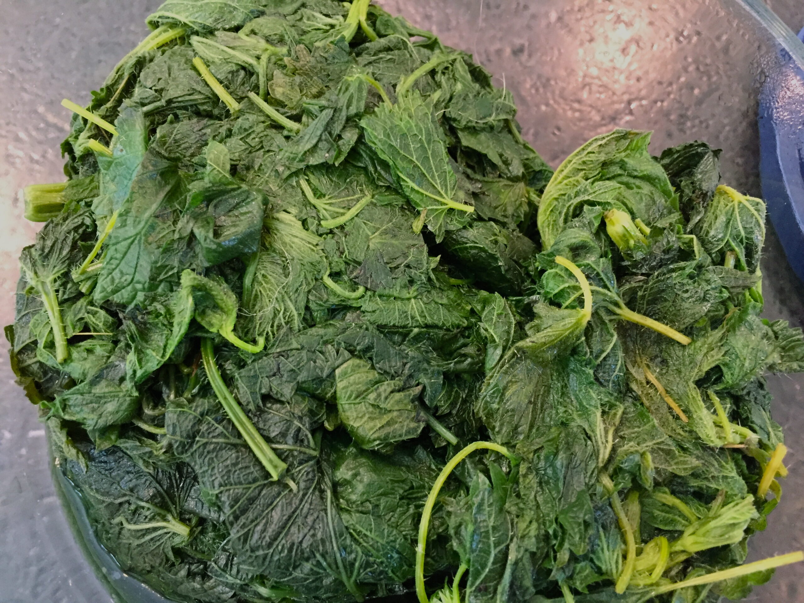 steamed nettles