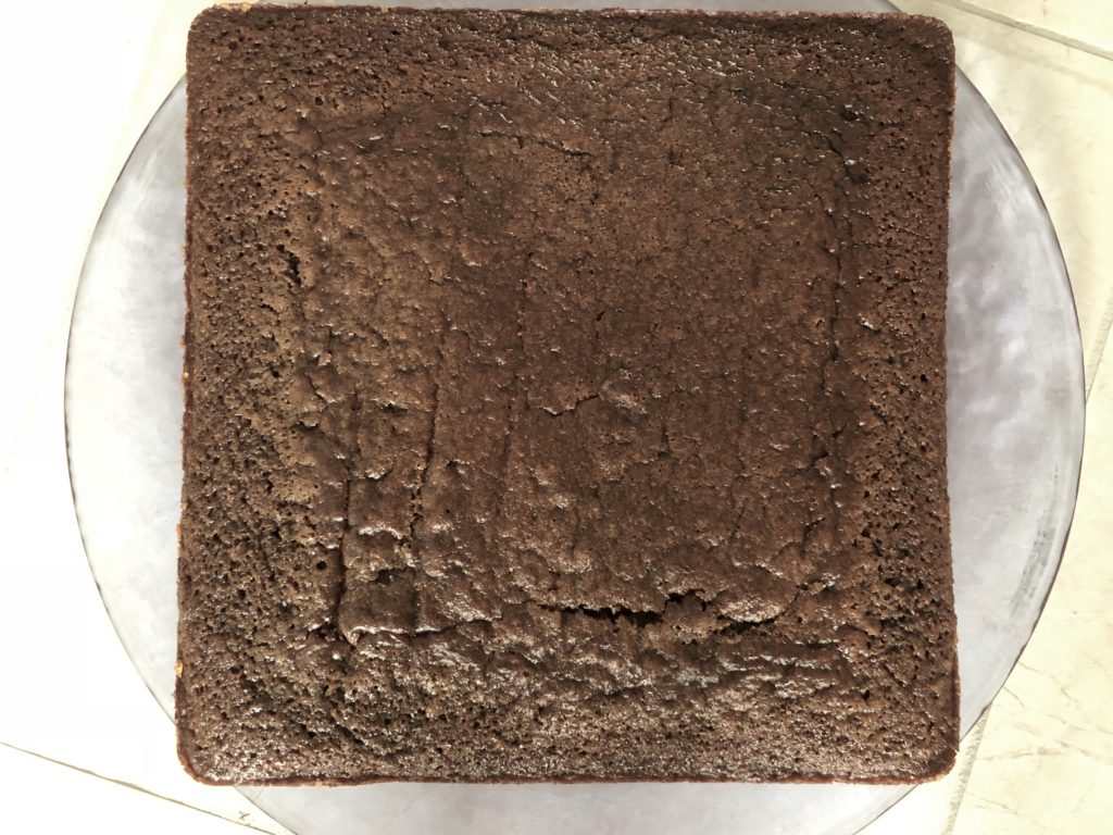 Chocolate Cake Squares (Lydia Pinkham’s)